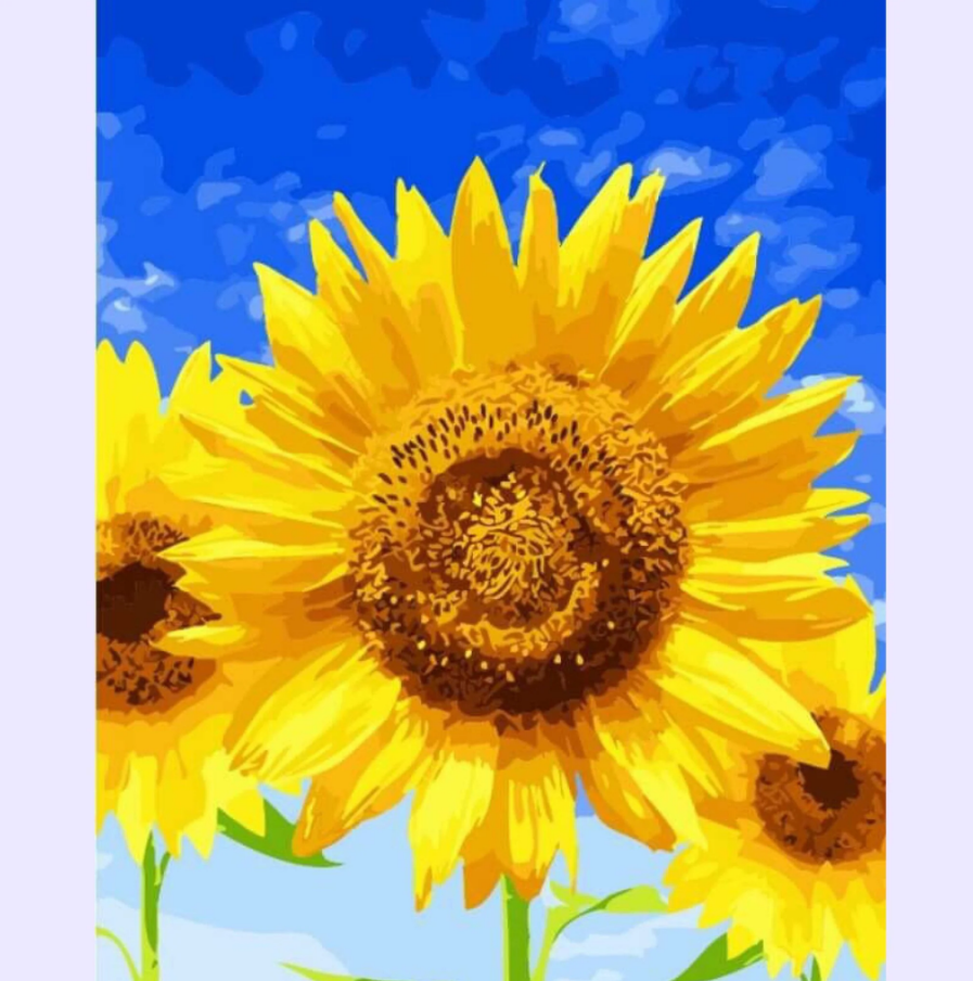 DIY painting Kit-Paint by numbers-Sunflower
